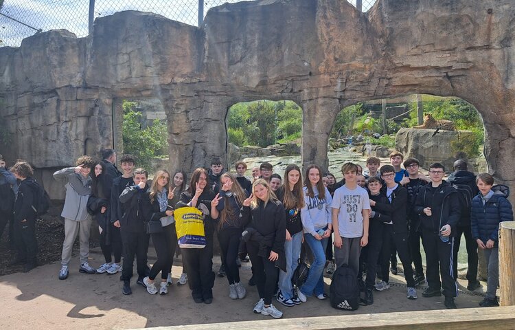 Image of Year 9 climate and sustainability workshops and Chester Zoo visit 